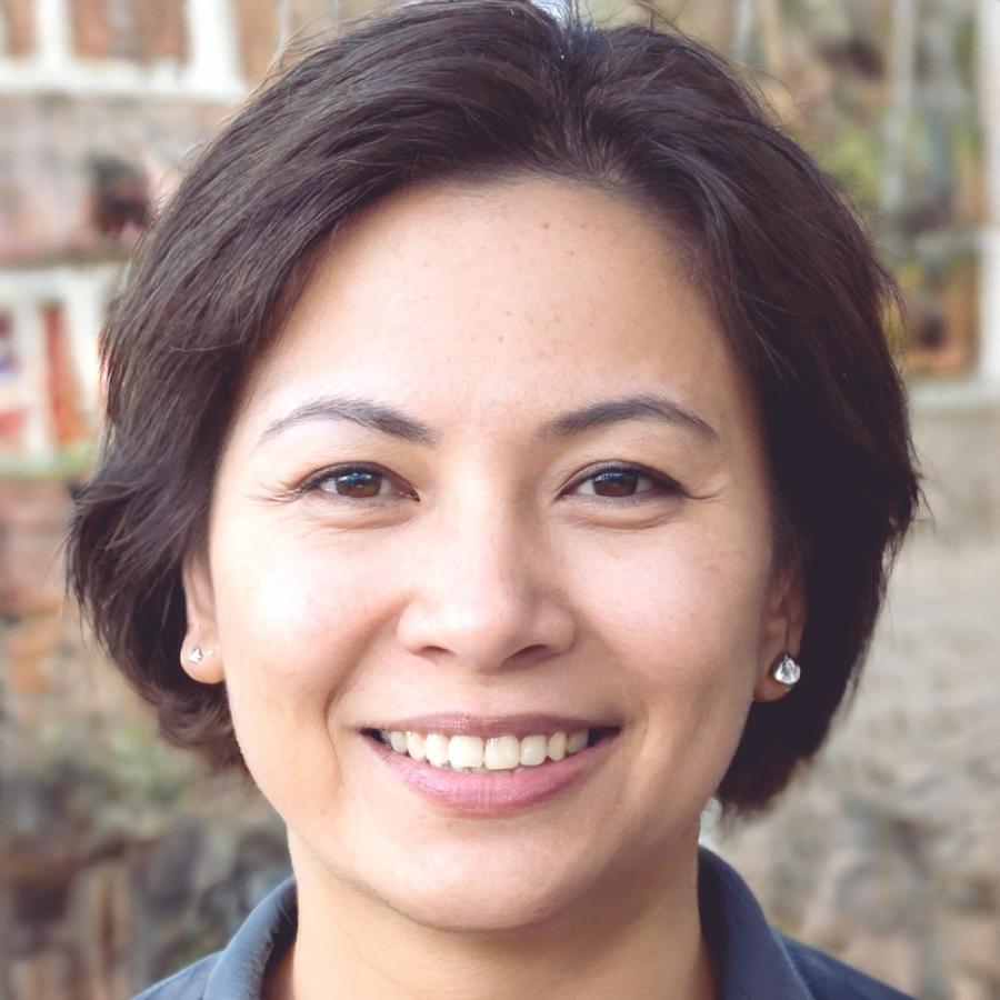 Directora de investigación colaborativa